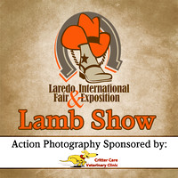 Lamb Show