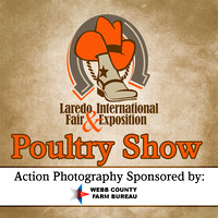 Poultry Show